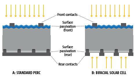 Standard solar cell and bifacial solar cell