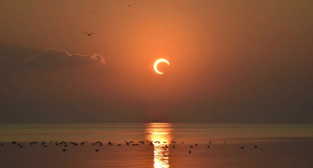 Saudi Arabia Solar Farm Saudi Arabia Solar Farm